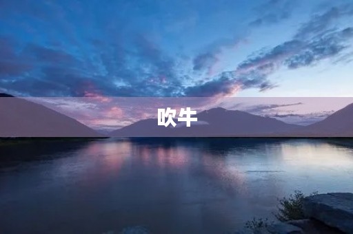 吹牛 吹牛