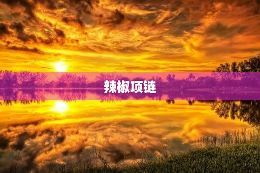 辣椒项链