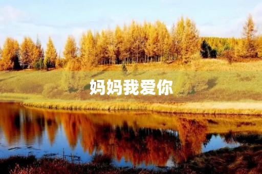 妈妈我爱你