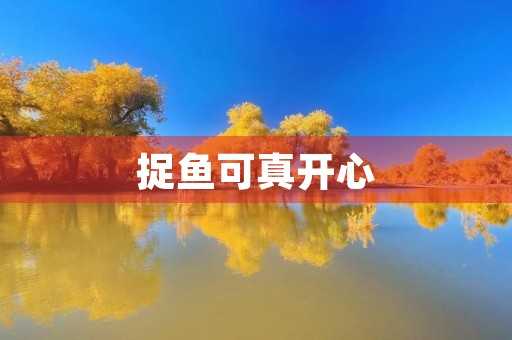 捉鱼可真开心 捉鱼可真开心