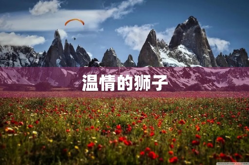 温情的狮子 温情的狮子
