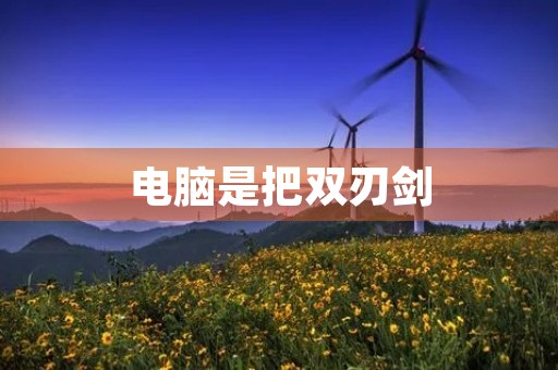电脑是把双刃剑