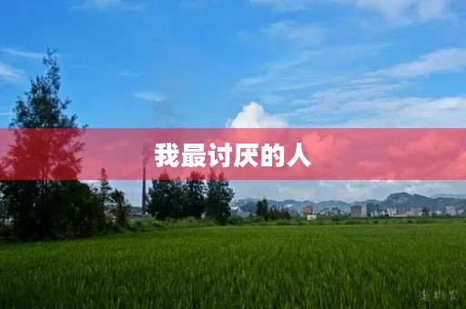 我最讨厌的人 我最讨厌的人