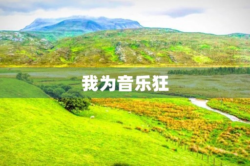 我为音乐狂