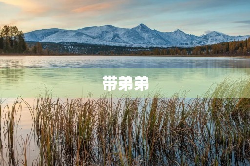 带弟弟