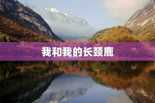 我和我的长颈鹿 我和我的长颈鹿