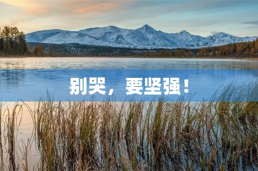 别哭，要坚强！