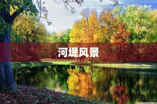 河堤风景 河堤风景