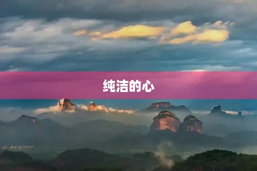 纯洁的心 纯洁的心