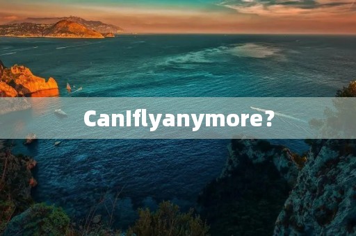 CanIflyanymore？