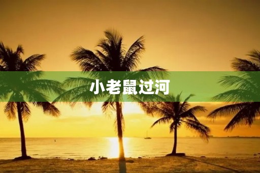 小老鼠过河