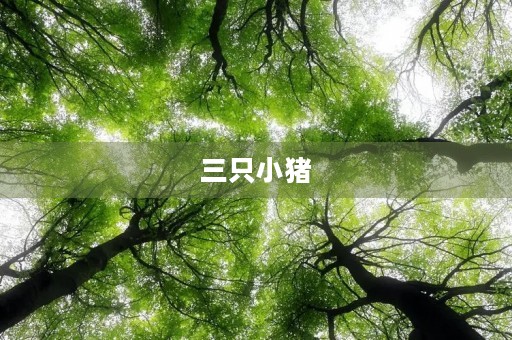 三只小猪 三只小猪
