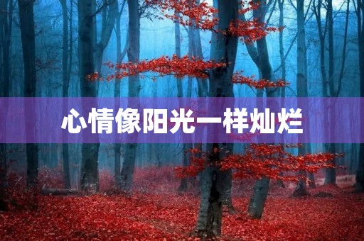 心情像阳光一样灿烂
