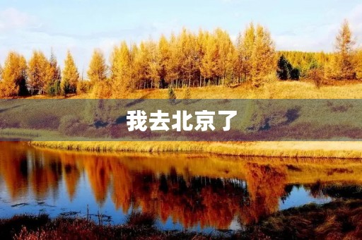 我去北京了 我去北京了