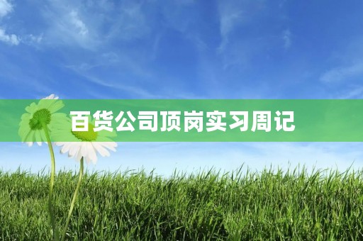 百货公司顶岗实习周记