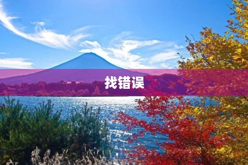 找错误 找错误