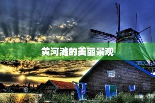 黄河滩的美丽景观