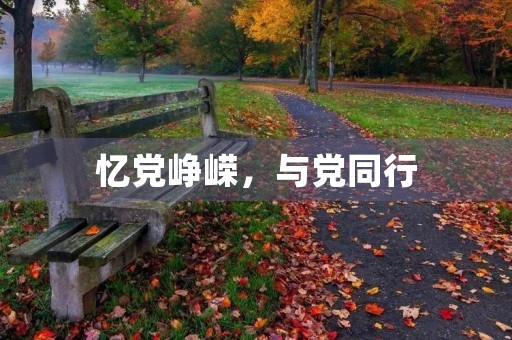 忆党峥嵘，与党同行
