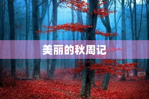 美丽的秋周记