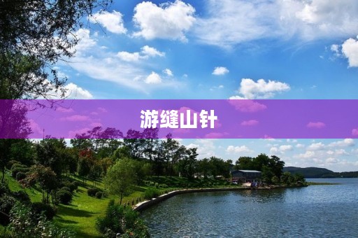 游缝山针