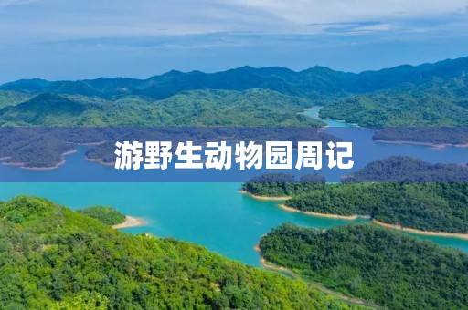 游野生动物园周记