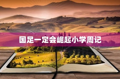 国足一定会崛起小学周记
