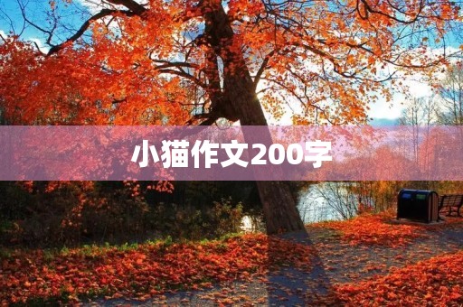 小猫作文200字