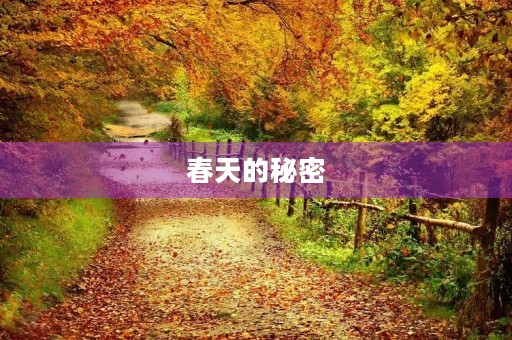 春天的秘密