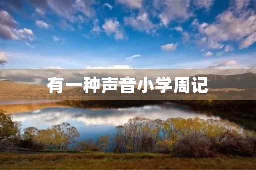有一种声音小学周记