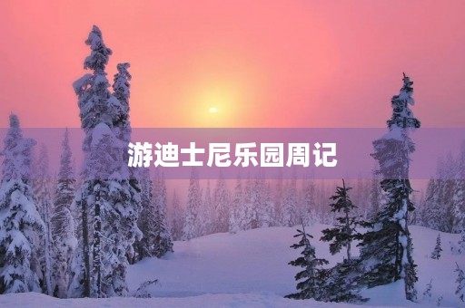 游迪士尼乐园周记