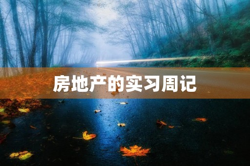 房地产的实习周记