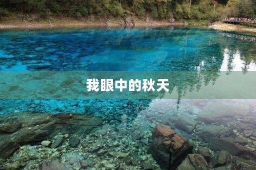 我眼中的秋天