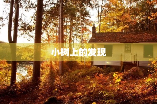 小树上的发现