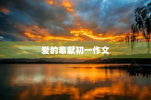 爱的奉献初一作文