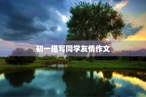 初一描写同学友情作文
