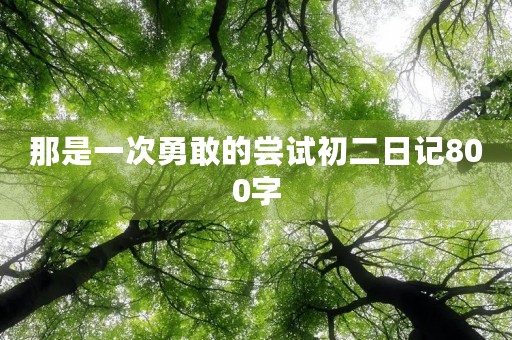 那是一次勇敢的尝试初二日记800字
