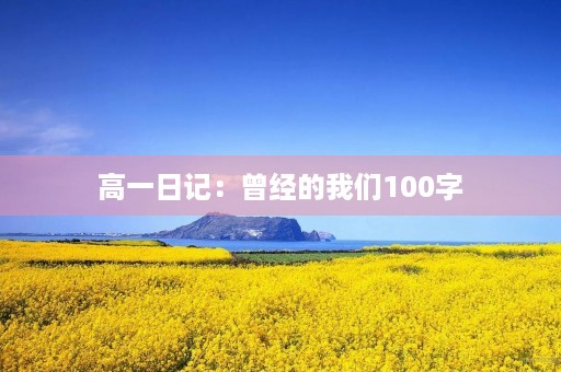 高一日记：曾经的我们100字
