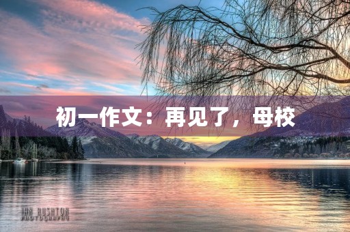 初一作文：再见了，母校