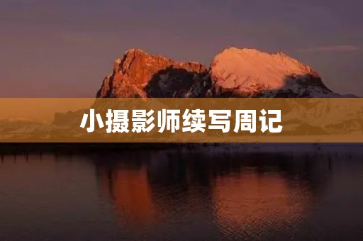 小摄影师续写周记 小摄影师续写周记
