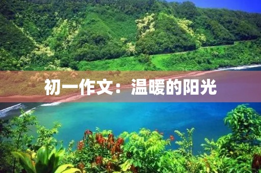 初一作文：温暖的阳光