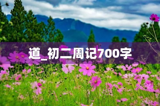 道_初二周记700字