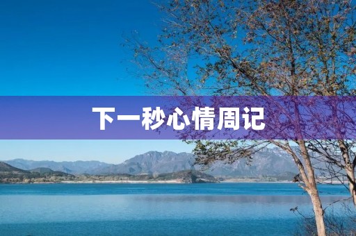 下一秒心情周记