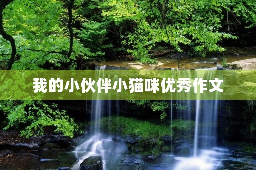 我的小伙伴小猫咪优秀作文 我的小伙伴小猫咪优秀作文