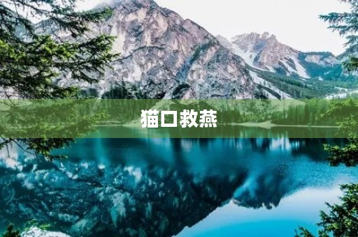 猫口救燕