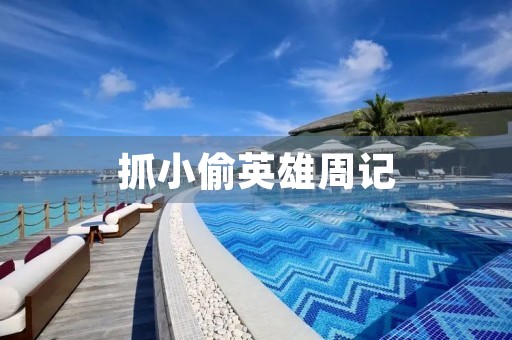 抓小偷英雄周记