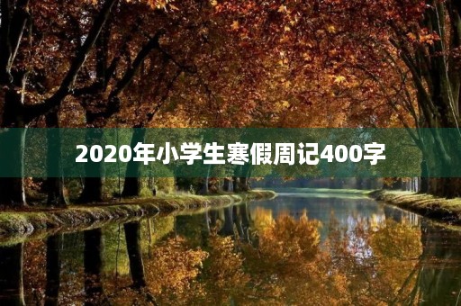 2020年小学生寒假周记400字 2020年小学生寒假周记400字