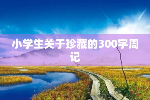 小学生关于珍藏的300字周记