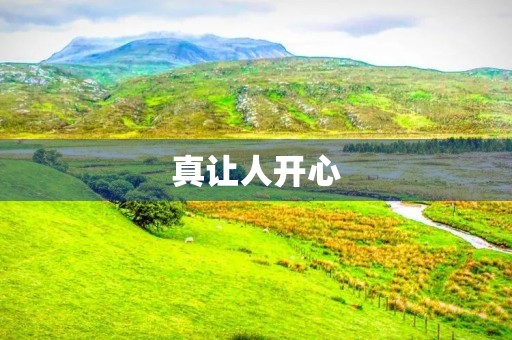 真让人开心