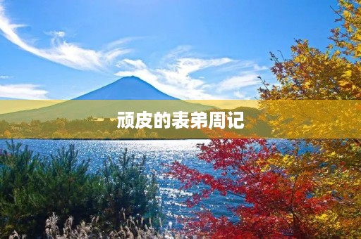 顽皮的表弟周记