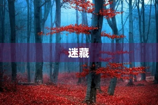 迷藏
